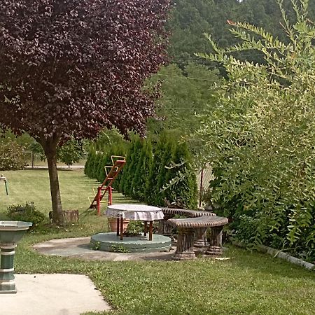Kuca Za Odmor Zicanka Kraljevo Extérieur photo