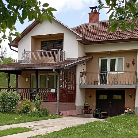 Kuca Za Odmor Zicanka Kraljevo Extérieur photo