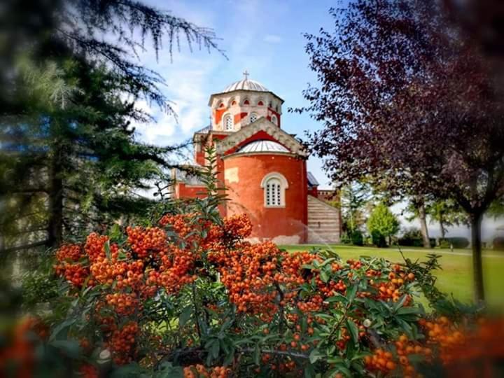 Kuca Za Odmor Zicanka Kraljevo Extérieur photo
