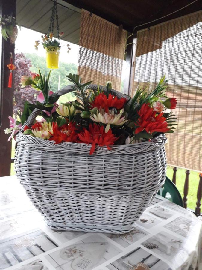 Kuca Za Odmor Zicanka Kraljevo Extérieur photo