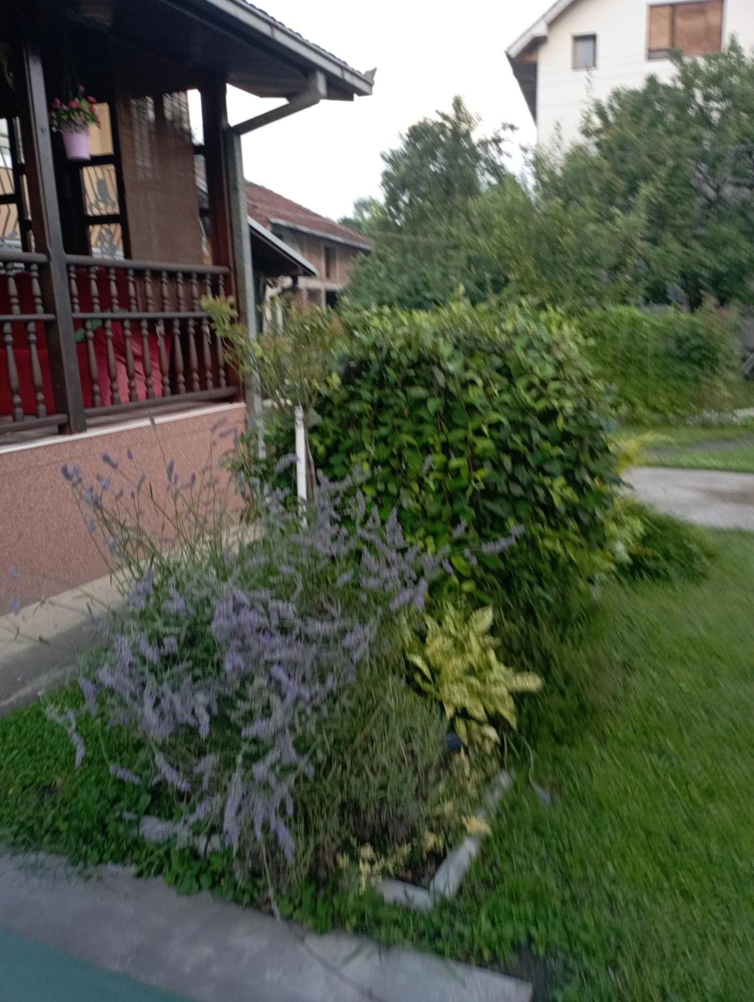 Kuca Za Odmor Zicanka Kraljevo Extérieur photo