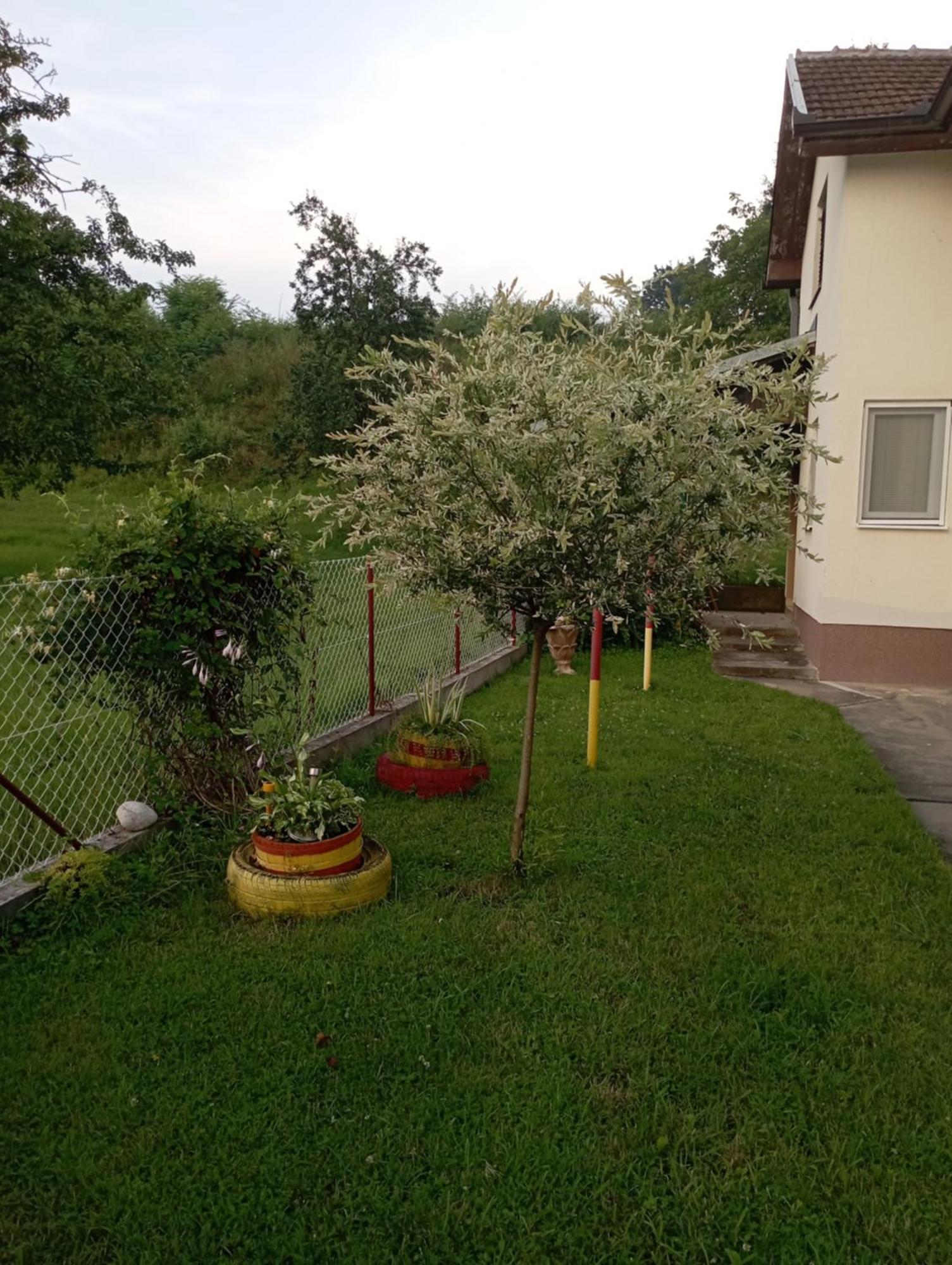 Kuca Za Odmor Zicanka Kraljevo Extérieur photo