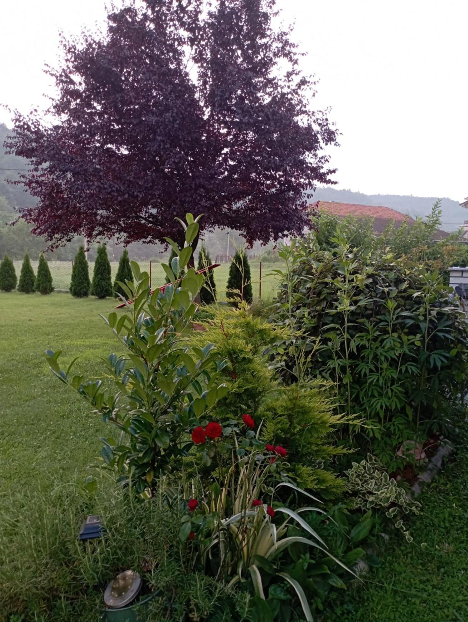 Kuca Za Odmor Zicanka Kraljevo Extérieur photo