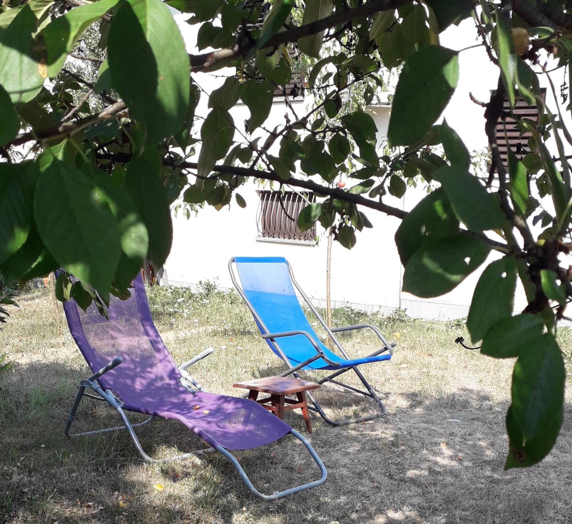 Kuca Za Odmor Zicanka Kraljevo Extérieur photo