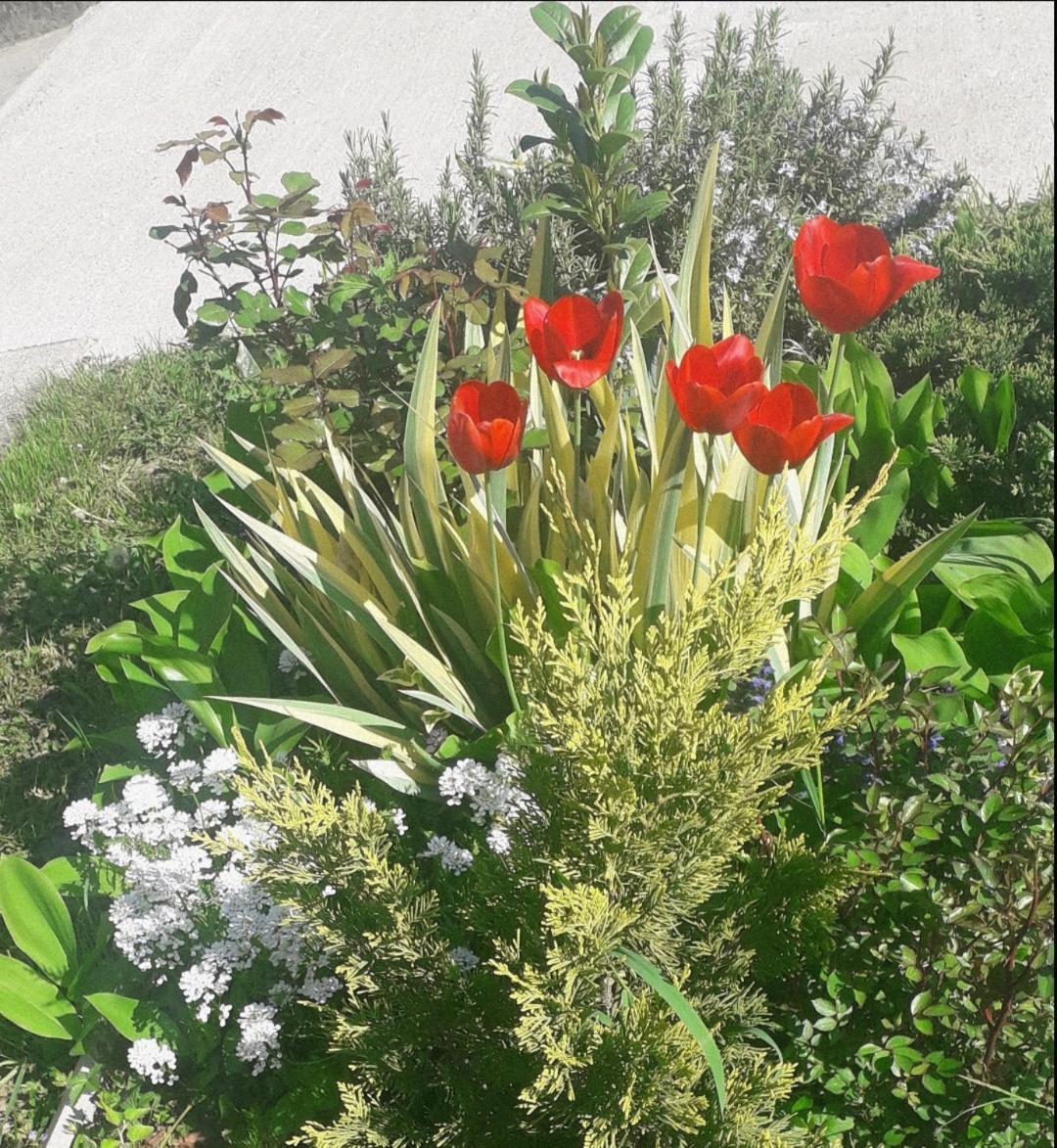 Kuca Za Odmor Zicanka Kraljevo Extérieur photo