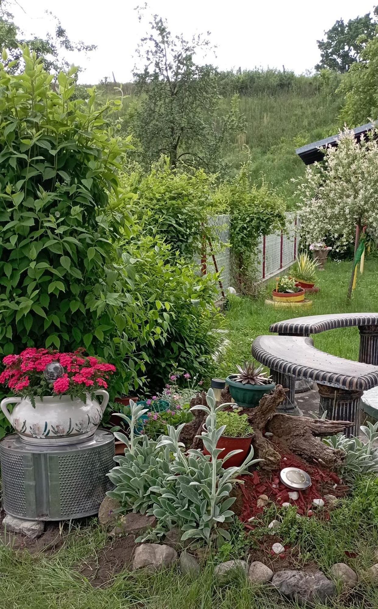 Kuca Za Odmor Zicanka Kraljevo Extérieur photo