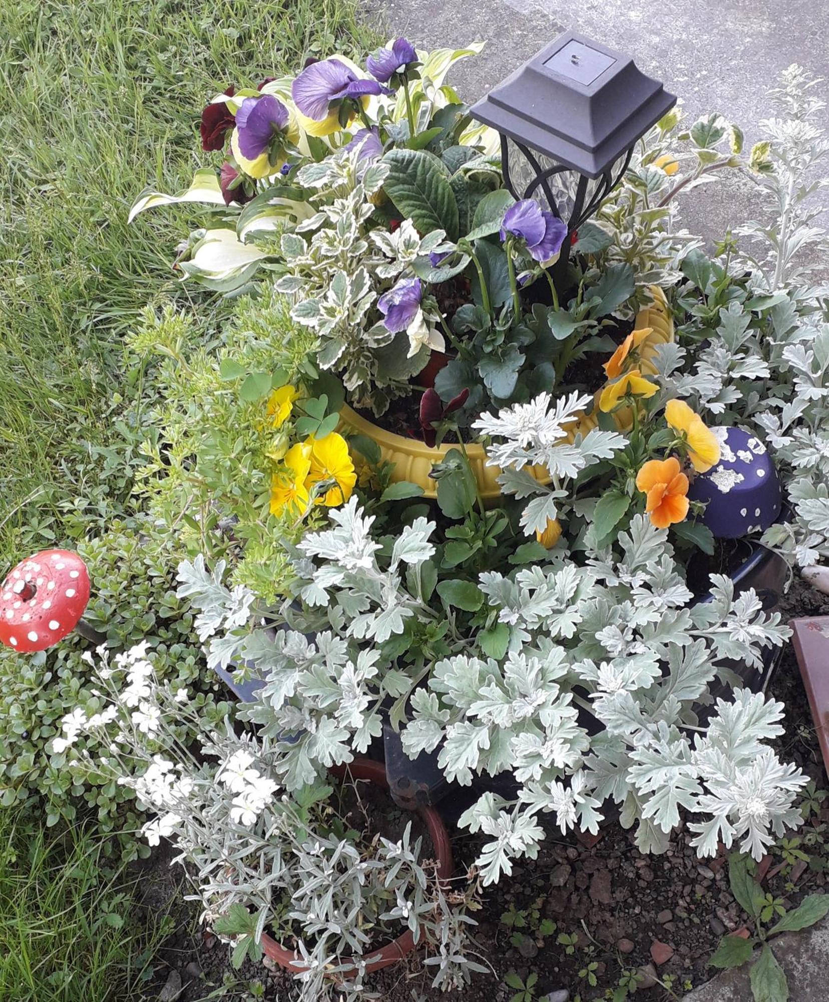 Kuca Za Odmor Zicanka Kraljevo Extérieur photo