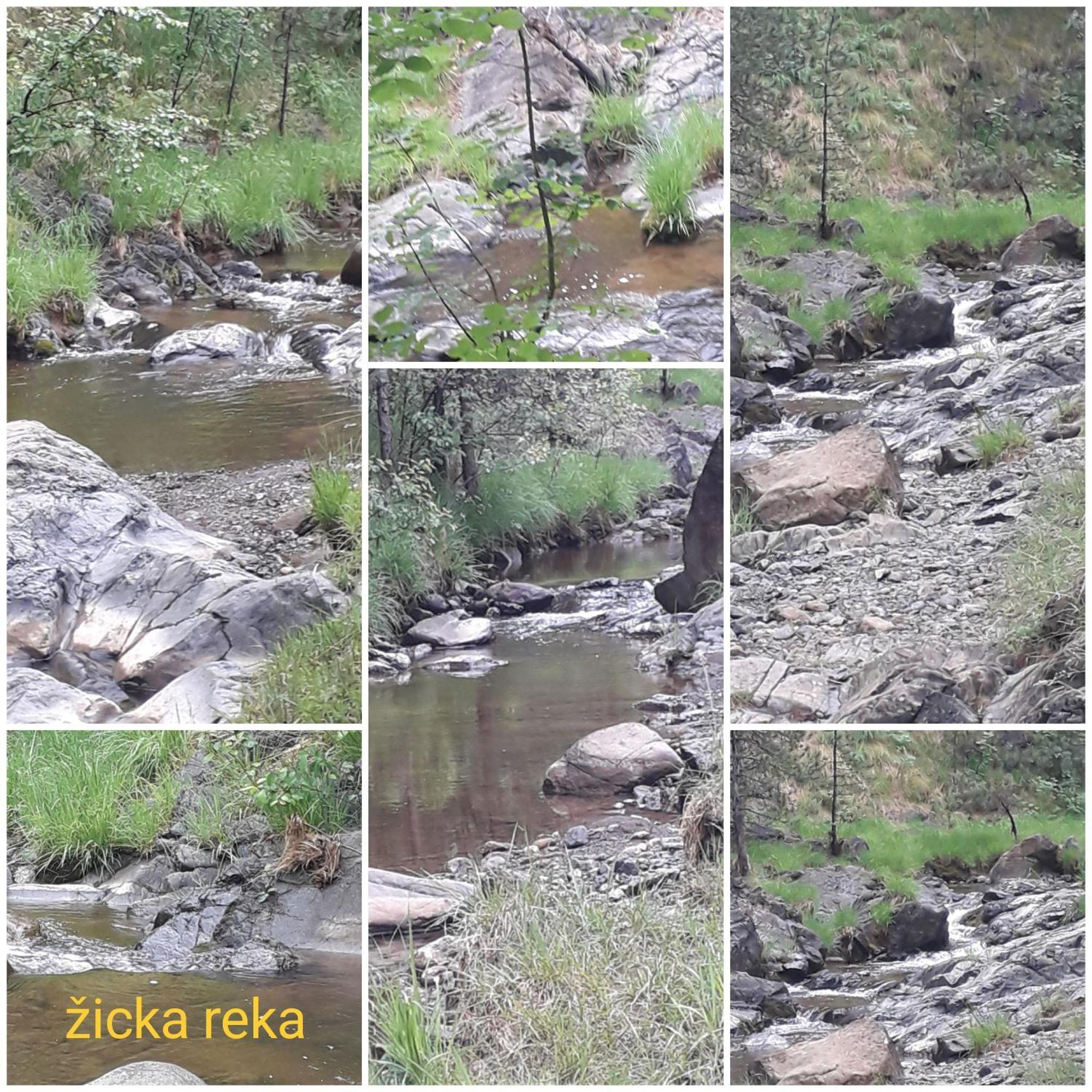 Kuca Za Odmor Zicanka Kraljevo Extérieur photo